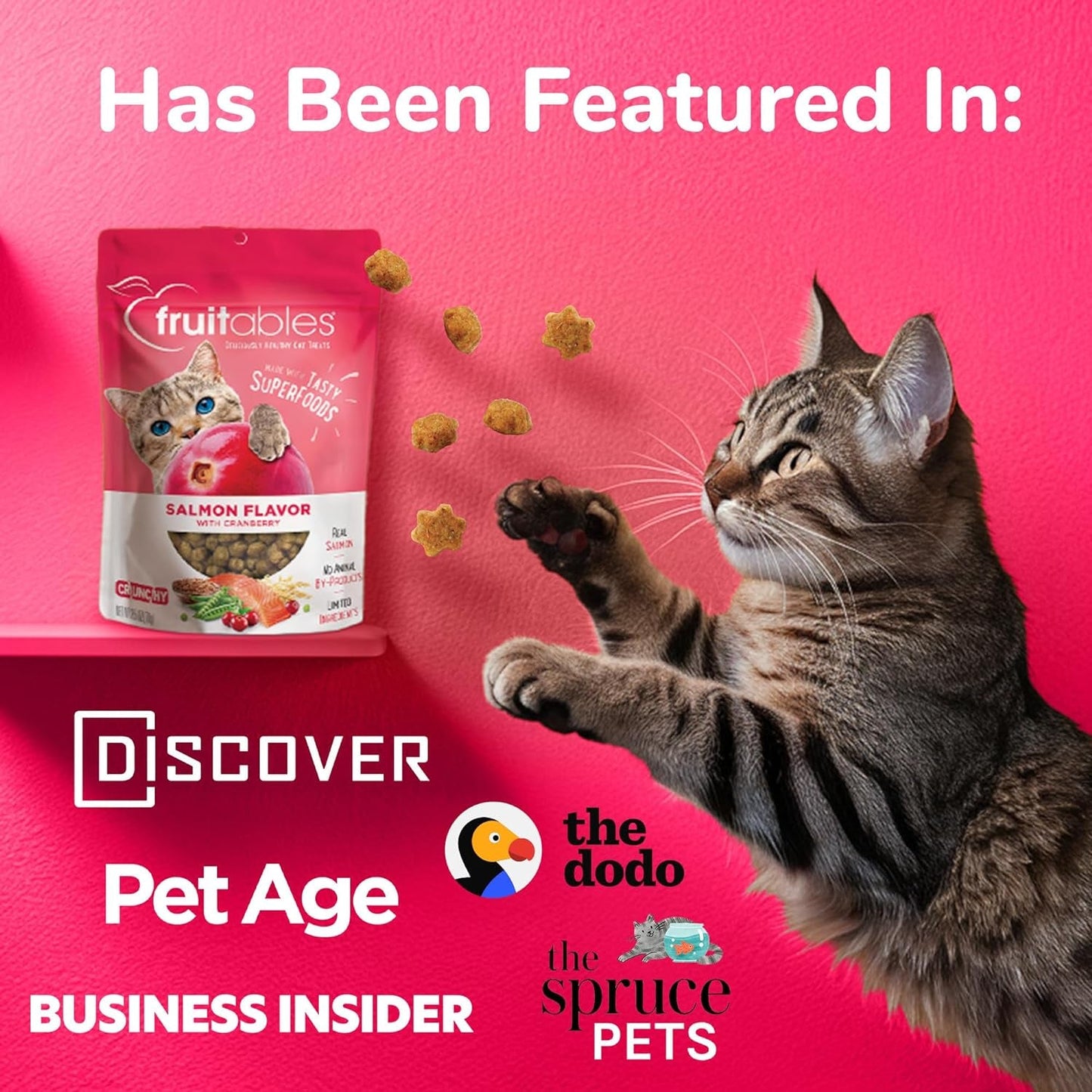 Cat Crunchy Treats  made with salmon