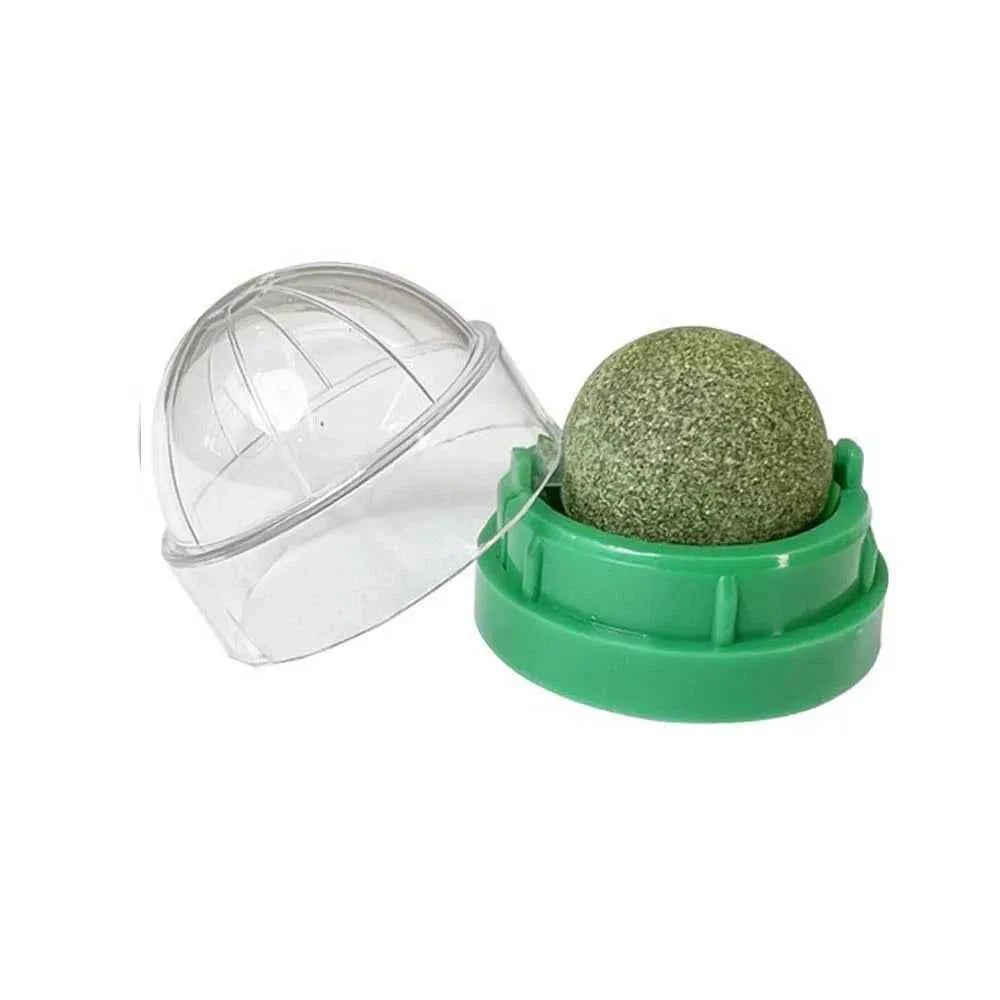 Catnip Wall Ball Treats – Digestive Aid & Fun for Cats