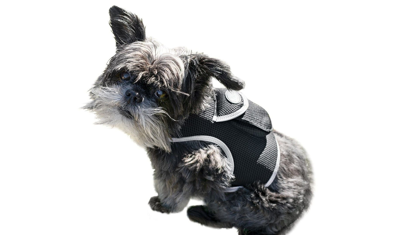 Consistent Realtime Mini Cat Dog GPS Tracking Collar Waterproof Device Size:L