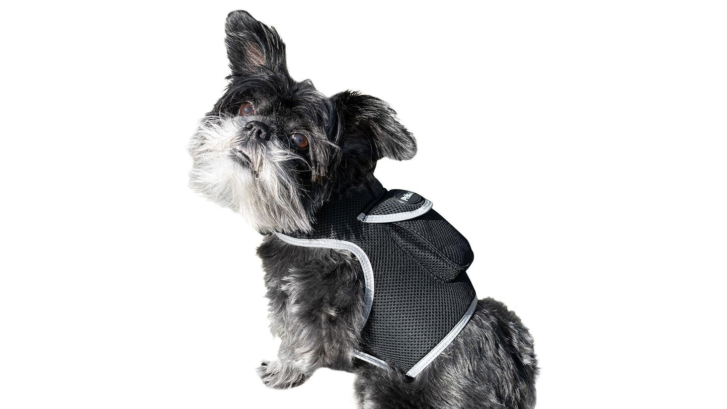 Consistent Realtime Mini Cat Dog GPS Tracking Collar Waterproof Device Size:L