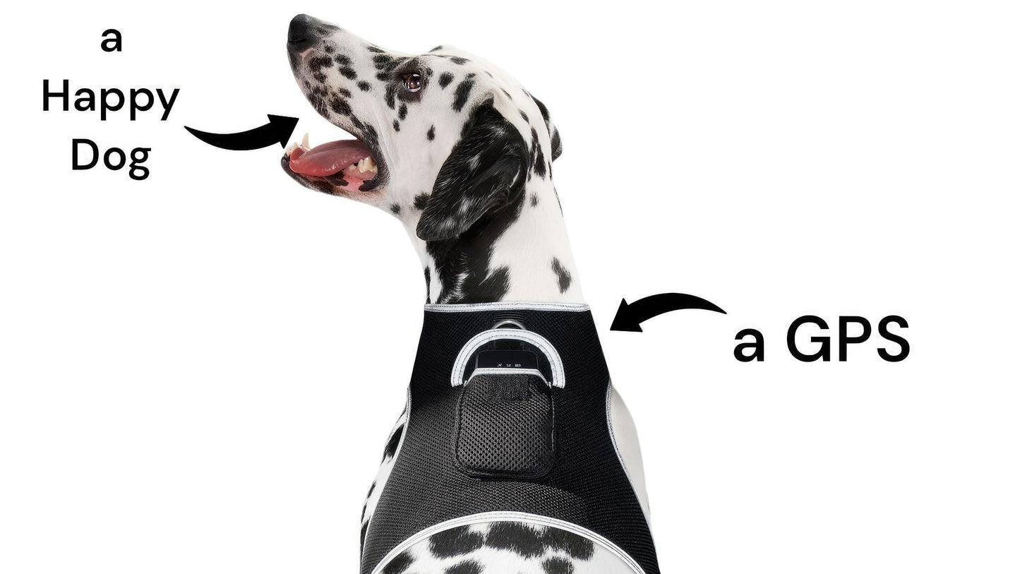 Consistent Realtime Mini Cat Dog GPS Tracking Collar Waterproof Device Size:L